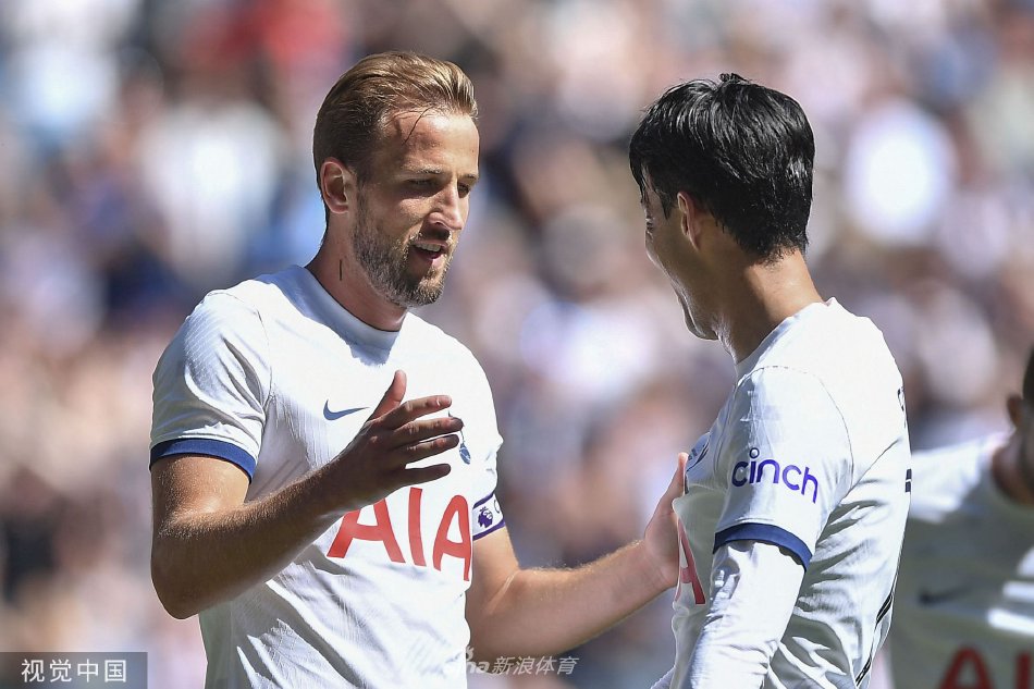 质选手参与 质选手参与