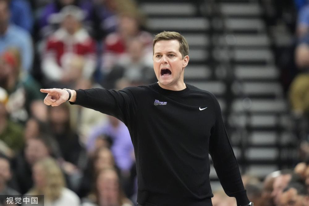 仅展示了库 仅展示了库